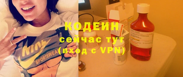 герыч Мегион