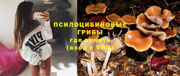 герыч Мегион